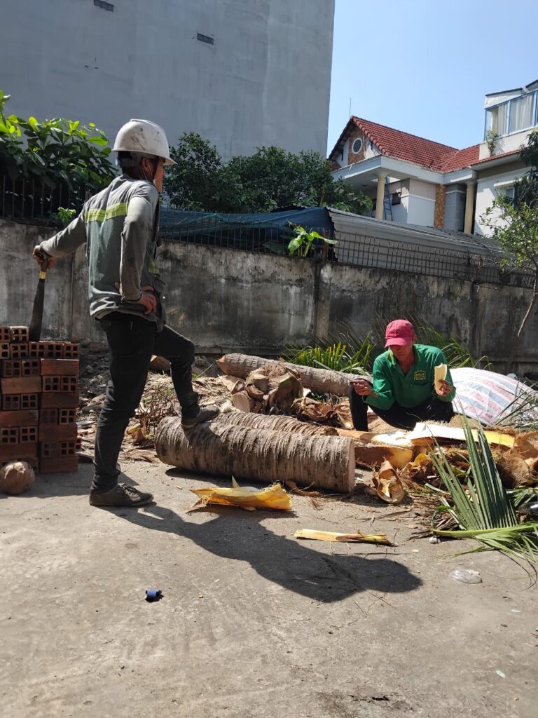 Dịch vụ cưa cây quận 4
