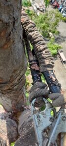 Vì Sao Nên Làm Định Kỳ?