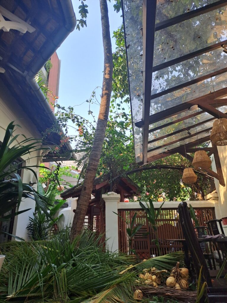 Vì Sao Nhu Cầu Cắt Cây Xanh Quận 4 Tăng Cao