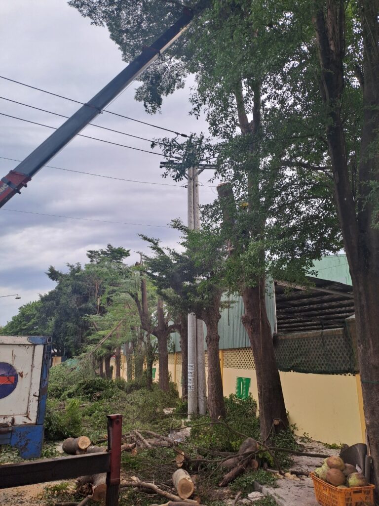 Hỗ Trợ Vệ Sinh, Dọn Dẹp Sau Khi Cắt