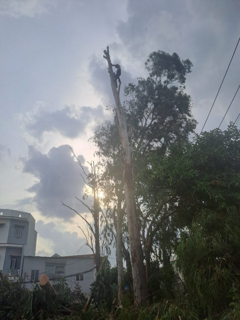 Tại Sao Nên Thuê Dịch Vụ Chuyên Nghiệp Mà Không Tự Làm?