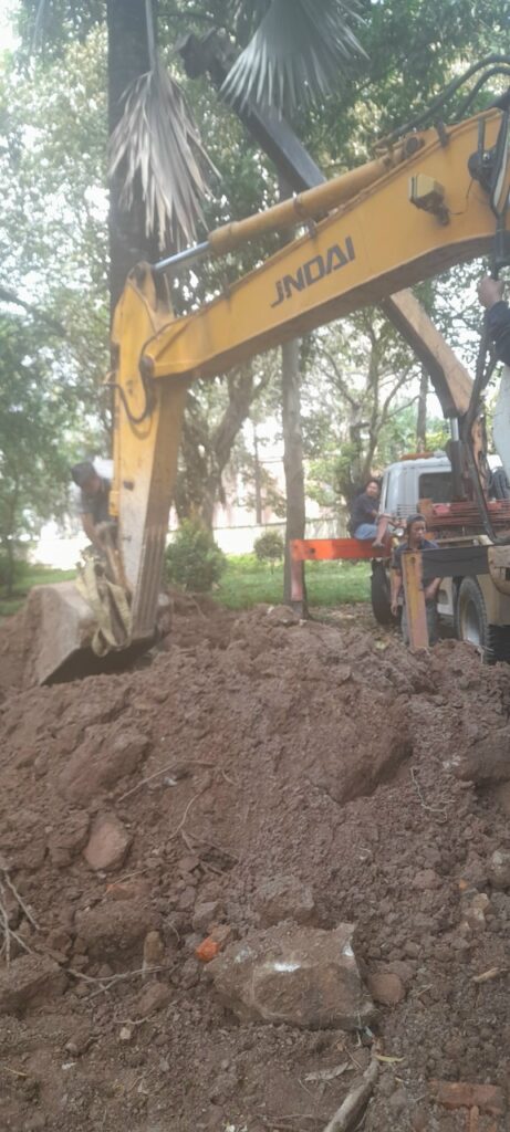 Quy Trình Cắt Tỉa Chuyên Nghiệp Gồm Những Gì?