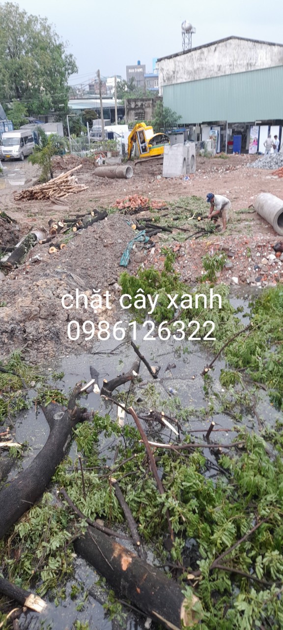 Câu chuyện thực tế: Hẻm 362 Lê Văn Sỹ thay áo mới