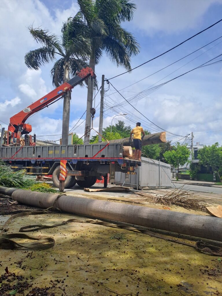 Dịch vụ san lấp mặt bằng dọn rác quận 7 tphcm .