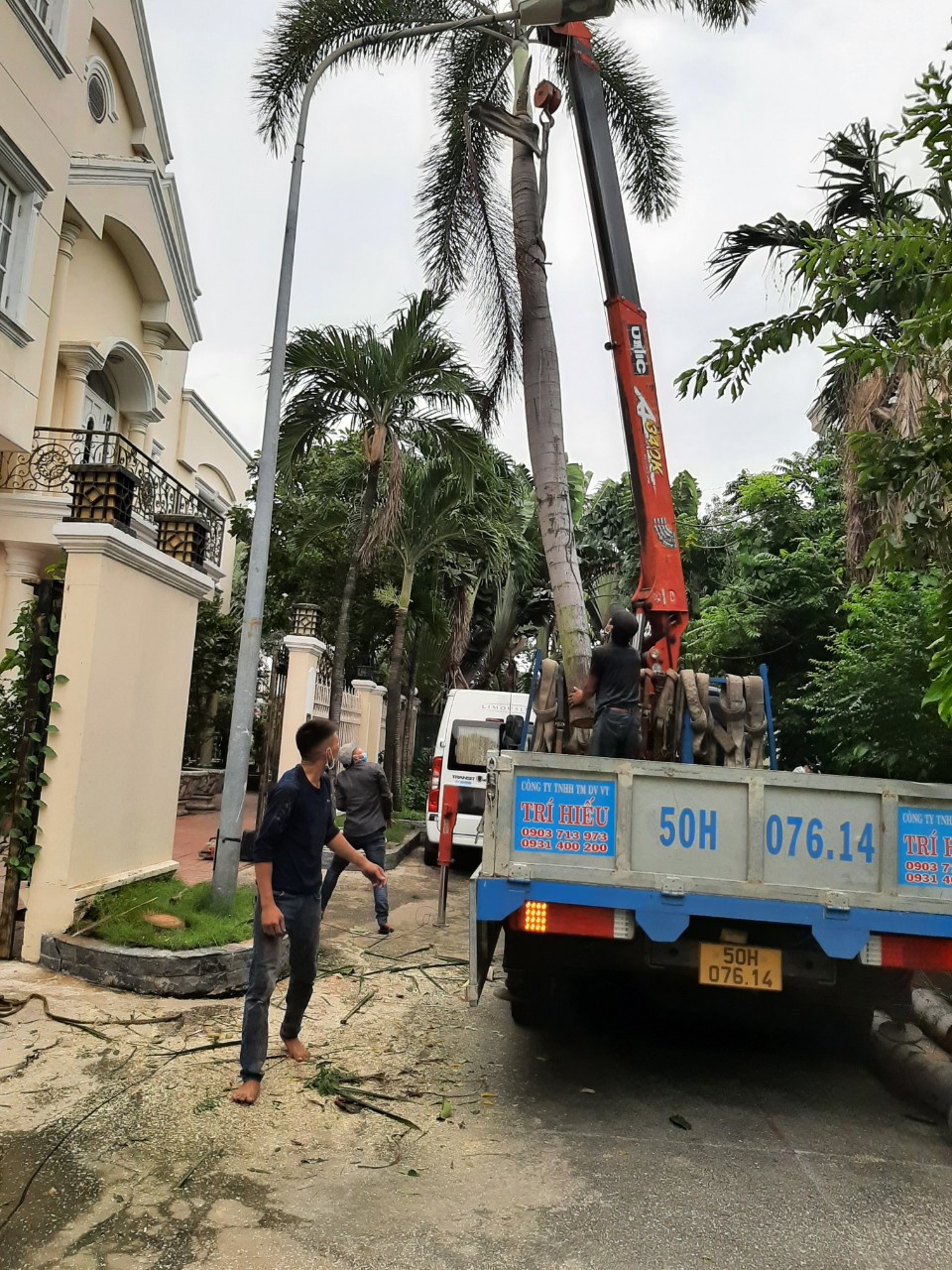 Dịch vụ cắt tỉa cây xanh tại quận 4