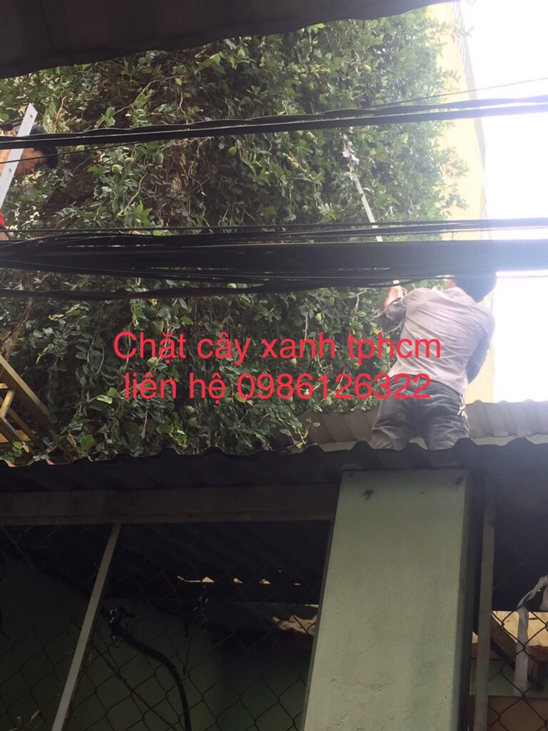 Bảng giá tham khảo (cập nhật đầu 2025)