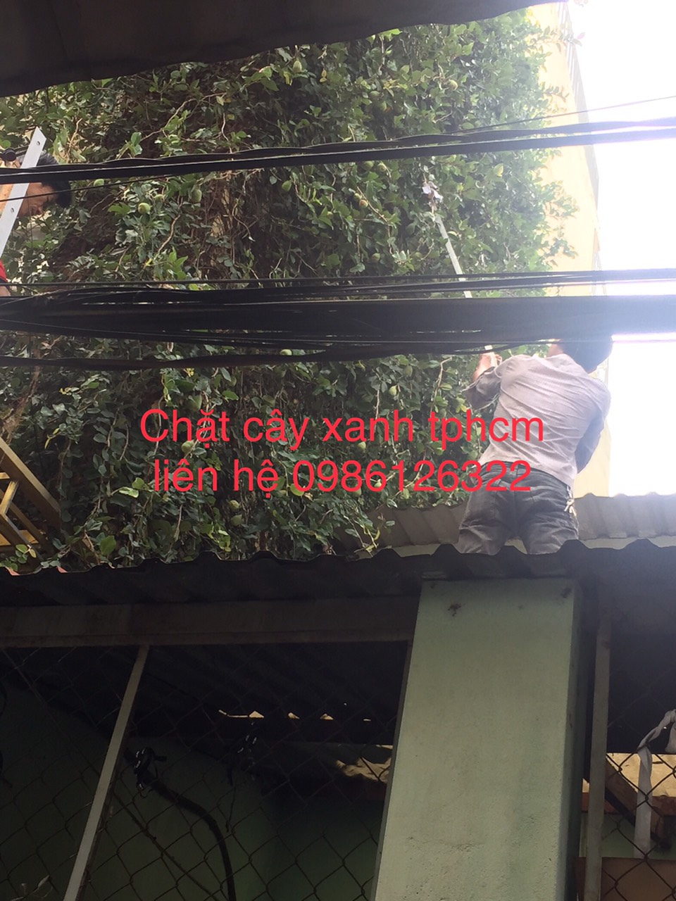 Bảng giá tham khảo (cập nhật đầu 2025)