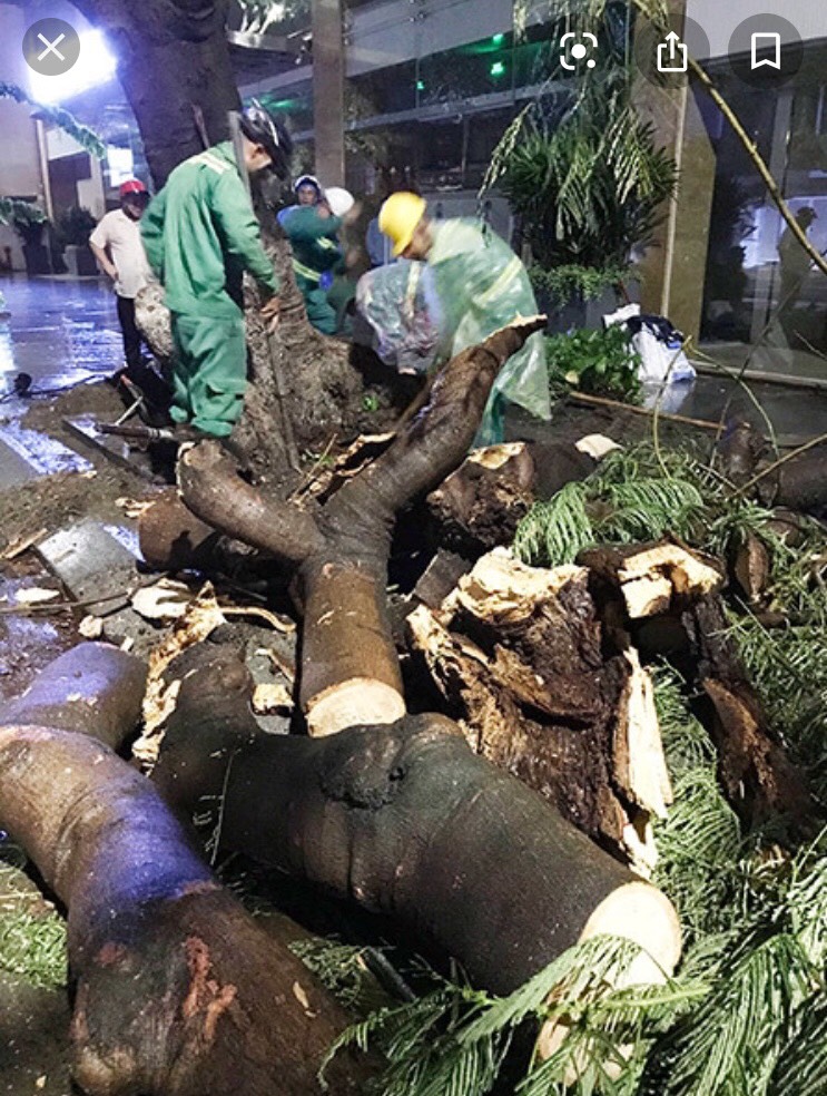 Chi phí và thời gian bảo hành