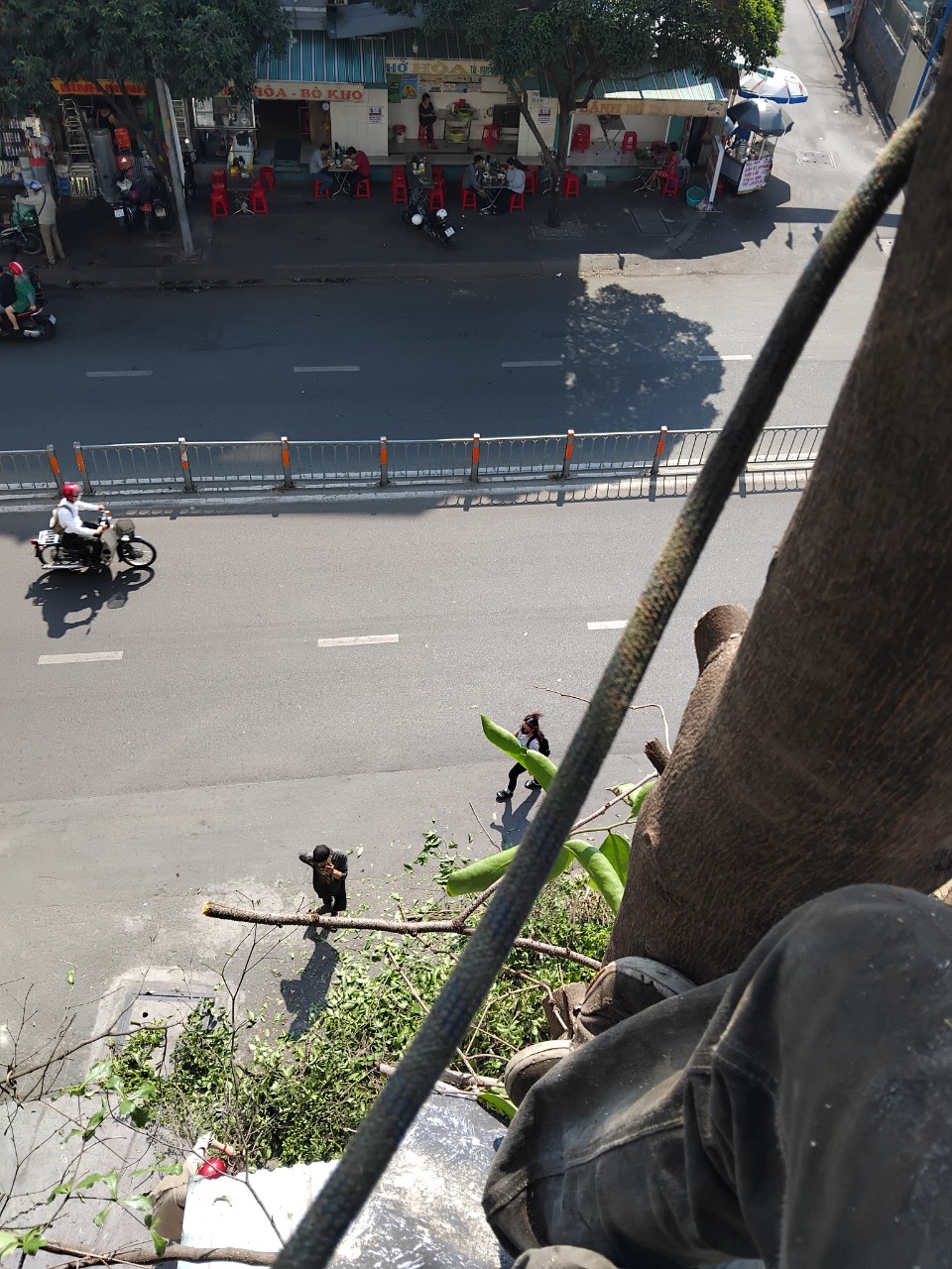 Tốc độ đô thị hóa và những “rốn gió” bất ngờ