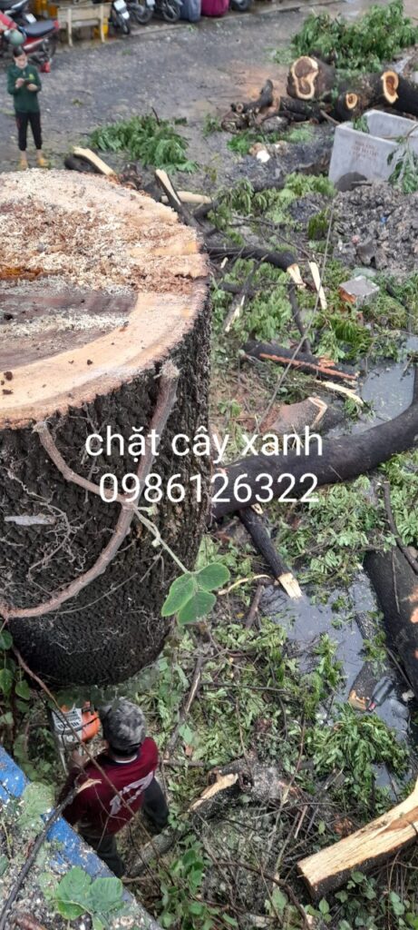 Câu hỏi thường gặp
