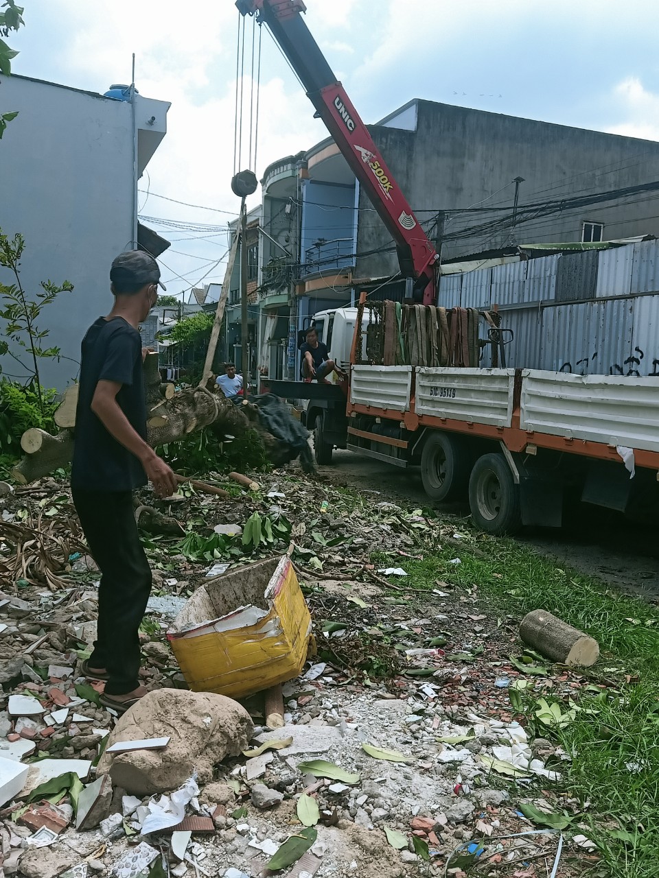 Lưu ý quan trọng khi cắt cây xanh quán cà phê